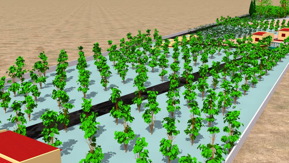 Votre projet agro-sylvo-pastoral, parfaitement réalisé